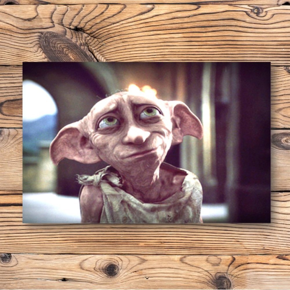Harry Potter Dobby The Free House Elf Refrigerator Fridge Locker Magnet